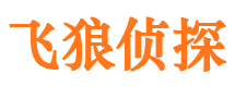 翠峦市出轨取证